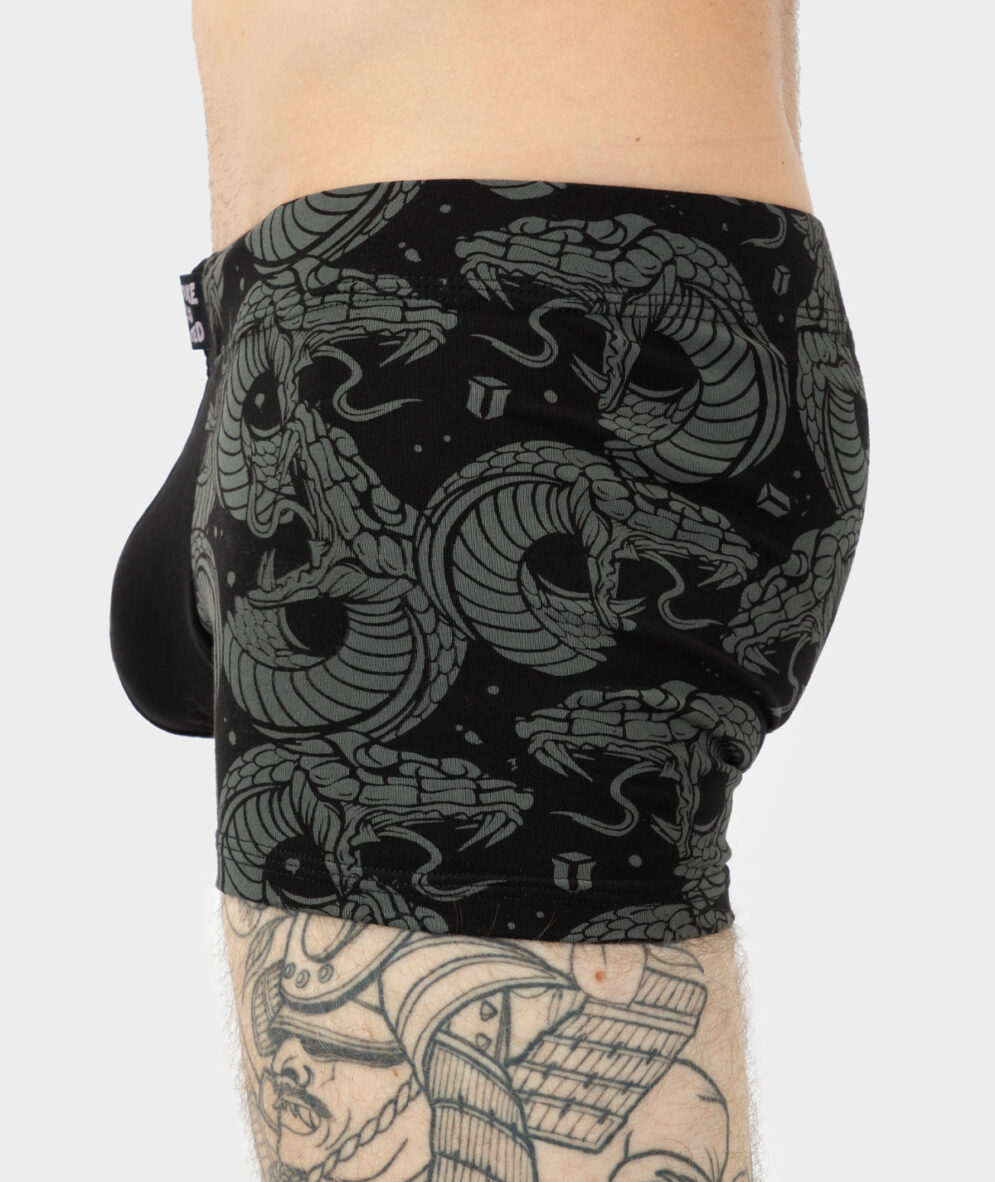 Snakes - Boxer