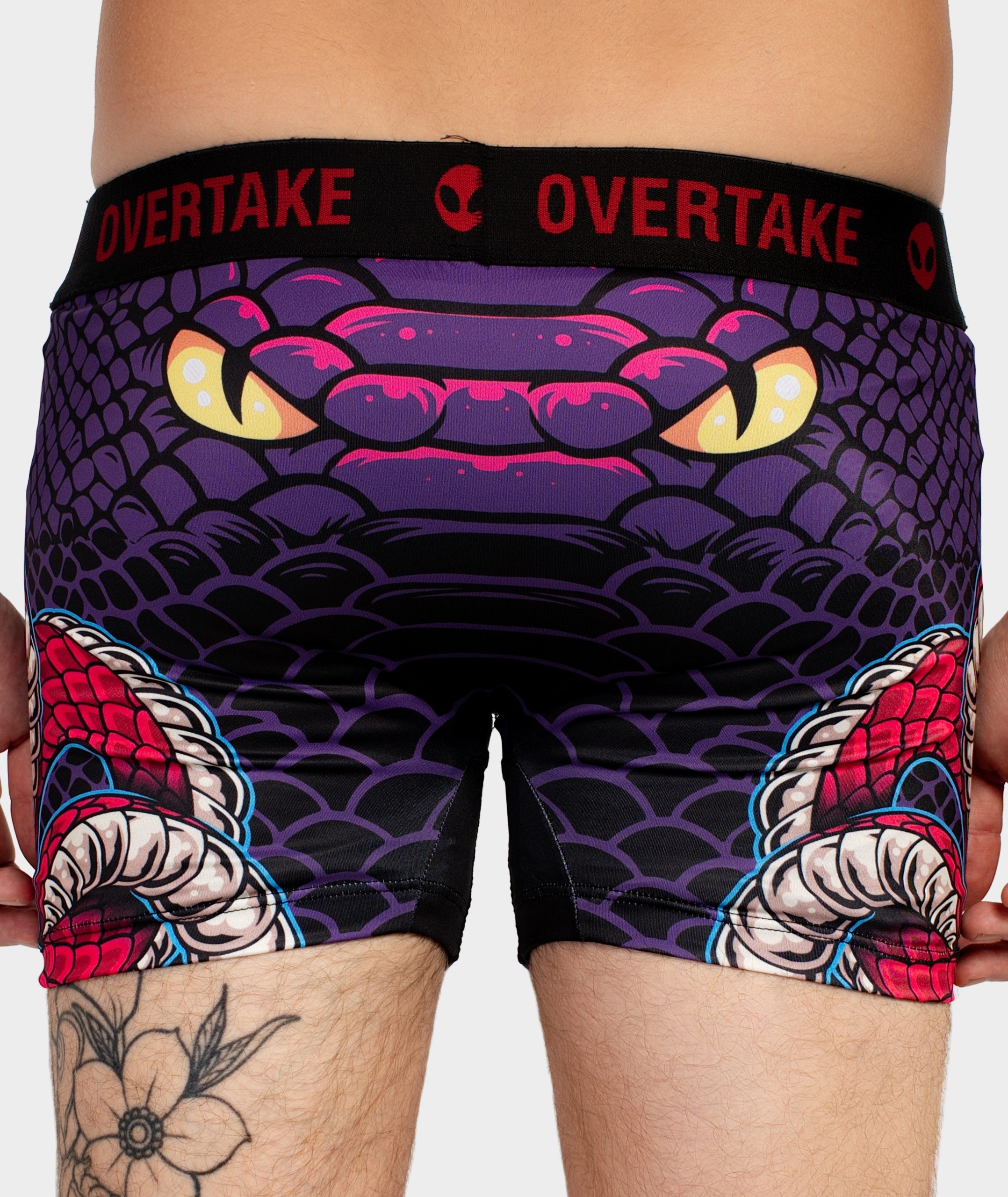 Wilde Snake - Boxer - Imagen 4